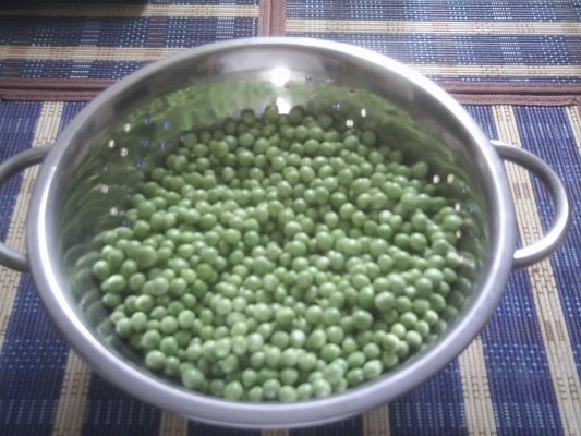 DIN CATEGORIA LEGUME CONGELATE DUPA FIERBERE - MAZARE