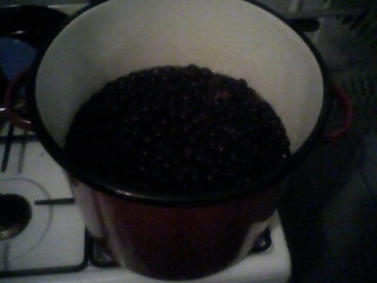 Sirop de cirese amare