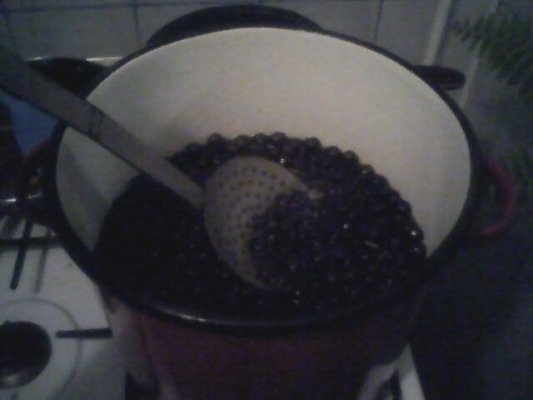 Sirop de cirese amare