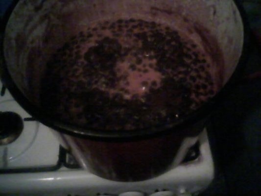 Sirop de cirese amare