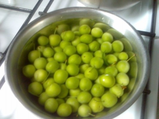 Ciorbita de legume cu corcoduse