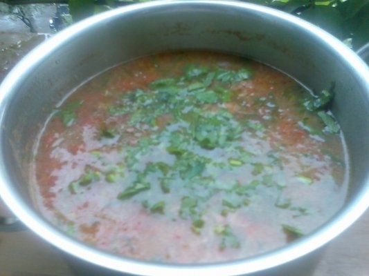 Ciorbita de legume cu corcoduse