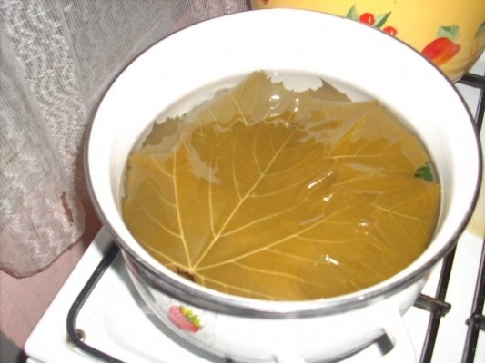 Sarmale in foi de vita