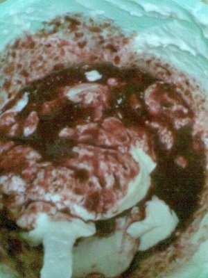 TORT MARMORAT DE VISINE