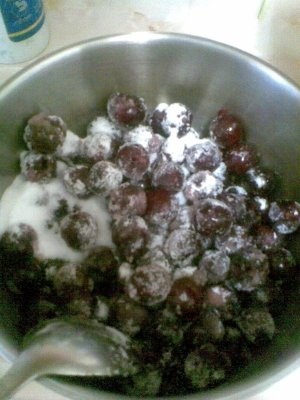 TORT MARMORAT DE VISINE