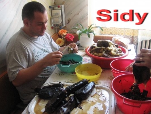 Vinete si ardei grasi pentru iarna