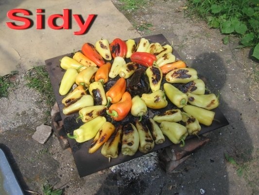 Vinete si ardei grasi pentru iarna