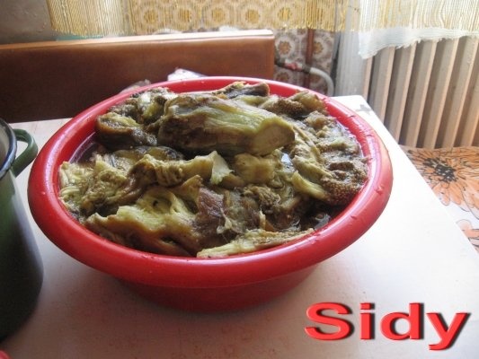 Vinete si ardei grasi pentru iarna