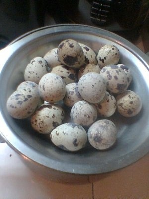 Salata de oua de prepelita