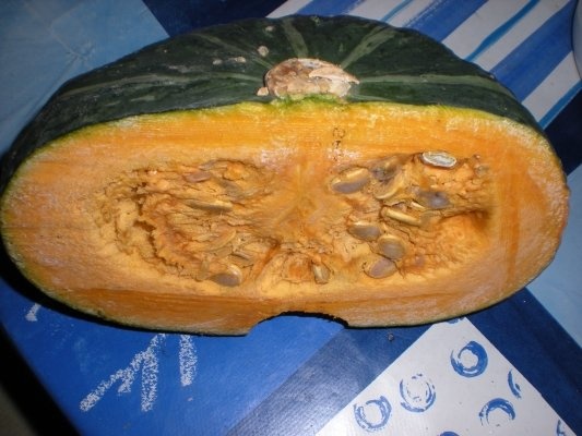 Crema de bostan turcesc