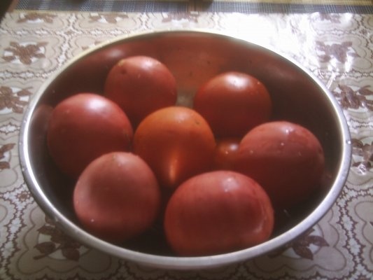 DIN CATEGORIA LEGUME CONGELATE  CRUDE - ROSII