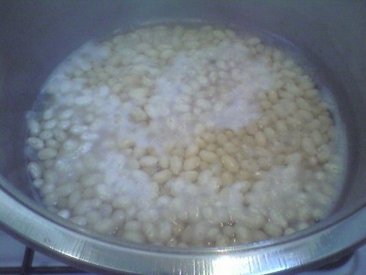 Mancarica de fasole boabe