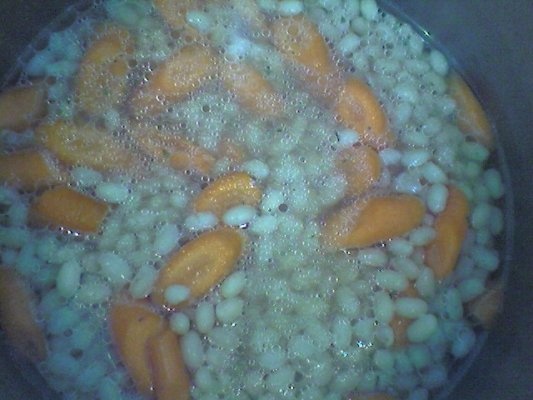 Mancarica de fasole boabe