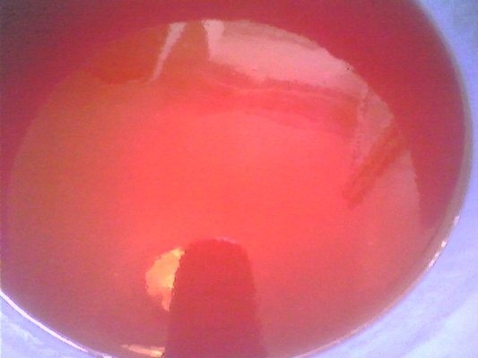 Mancarica de fasole boabe