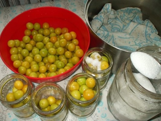 Compot de corcoduse fara conservant