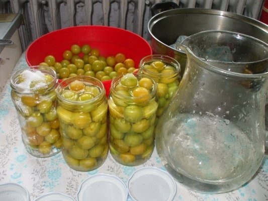 Compot de corcoduse fara conservant