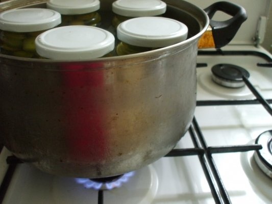 Compot de corcoduse fara conservant