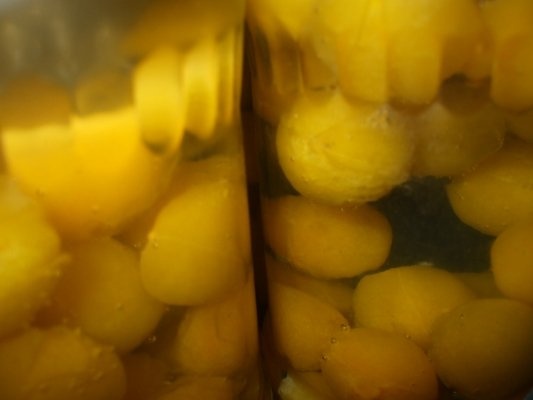 Compot de corcoduse fara conservant