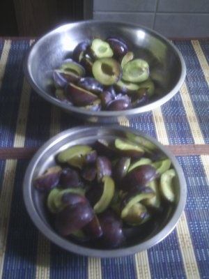 DIN CATEGORIA FRUCTE CRUDE CONGELATE - PRUNE