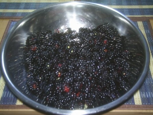 DIN CATEGORIA FRUCTE CRUDE CONGELATE - MURE,AFINE,ZMEURA