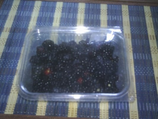 DIN CATEGORIA FRUCTE CRUDE CONGELATE - MURE,AFINE,ZMEURA