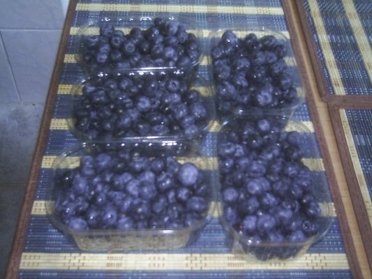 DIN CATEGORIA FRUCTE CRUDE CONGELATE - MURE,AFINE,ZMEURA