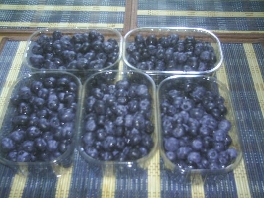 DIN CATEGORIA FRUCTE CRUDE CONGELATE - MURE,AFINE,ZMEURA