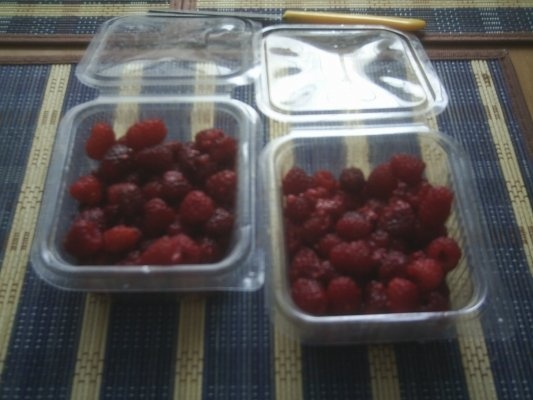 DIN CATEGORIA FRUCTE CRUDE CONGELATE - MURE,AFINE,ZMEURA