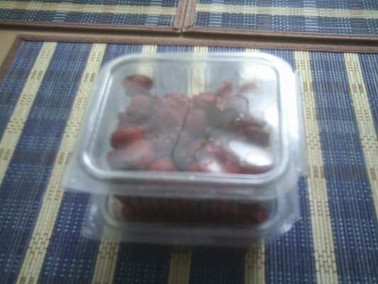 DIN CATEGORIA FRUCTE CRUDE CONGELATE - MURE,AFINE,ZMEURA