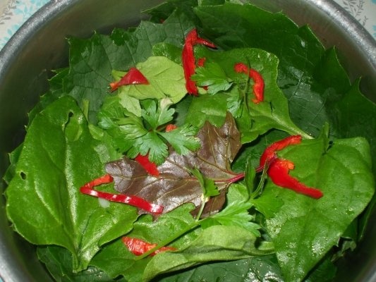 Sarmalute cu ciuperci in foi de vita