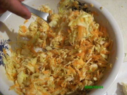 Salata de varza si morcovi cu pui