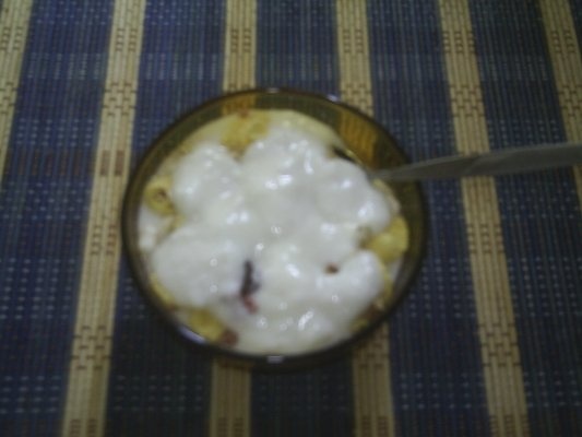 IAURT CU CEREALE INTEGRALE PENTRU UN MIC DEJUN SANATOS