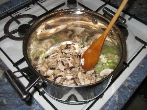 Tocanita de ciuperci din Salaj