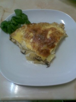 PLACINTA DIN CARTOFI