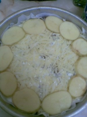 PLACINTA DIN CARTOFI