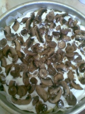 PLACINTA DIN CARTOFI