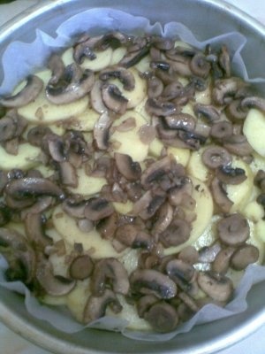 PLACINTA DIN CARTOFI