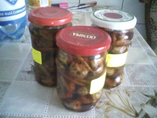 Dulceata de nuci verzi