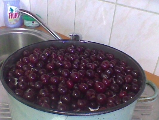 Visine  si sirop de visine, la borcan pentru iarna