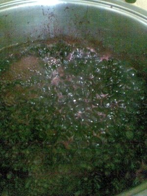 DULCEATA DE CIRESE AMARE