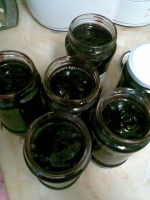 DULCEATA DE CIRESE AMARE