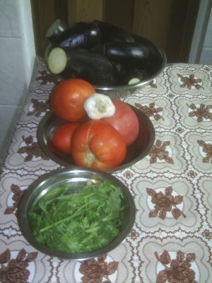 MANCARE DE VINETE FARA CARNE