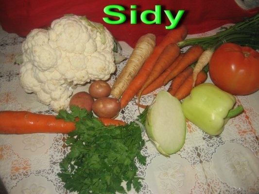 Ciorbita de conopida