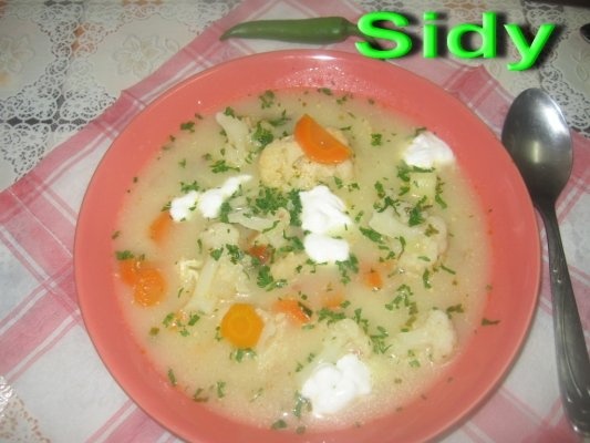 Ciorbita de conopida