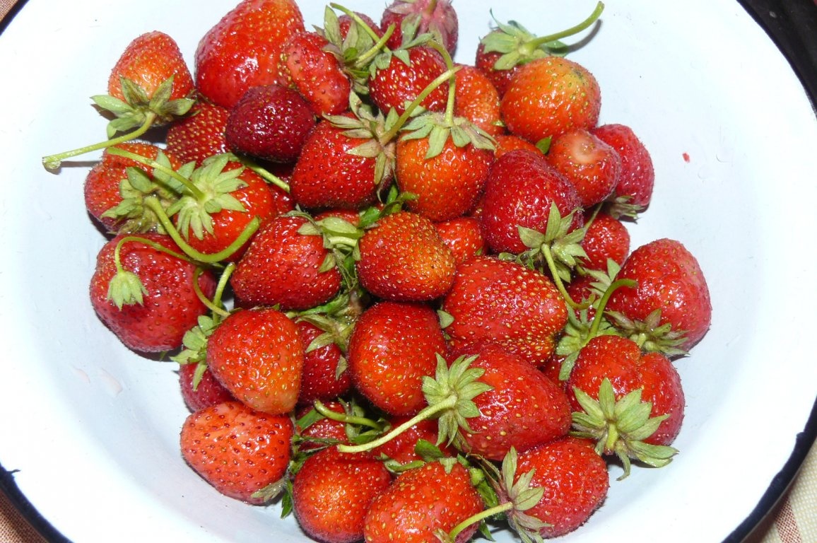 Sirop de căpşuni de la Filo,de la Cluj