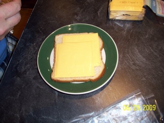 Grilled cheese sandwich