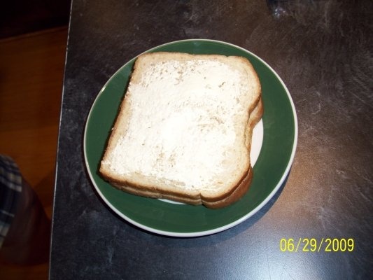 Grilled cheese sandwich