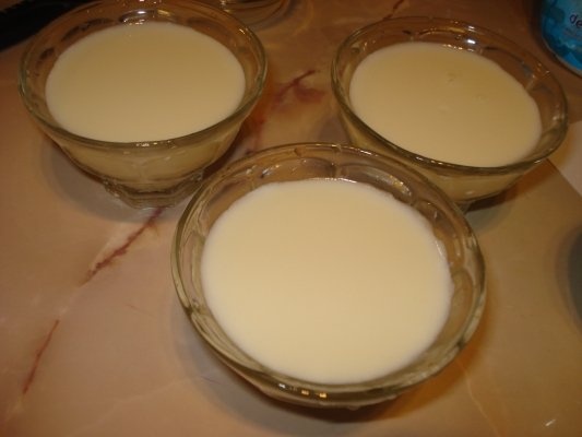 Panna Cotta - reteta testata