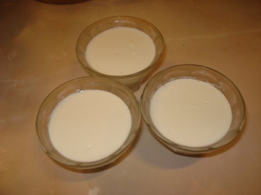 Panna Cotta - reteta testata