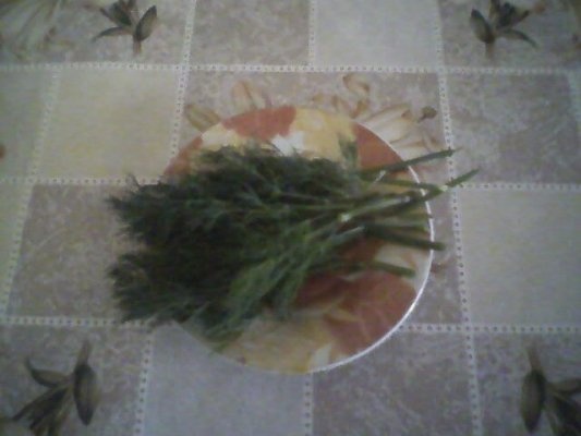 CHIFTELUTE DIN OMLETA